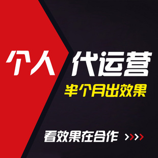 个人全职运营淘宝天猫代运营整店运营优化直通车全站托管网店设计