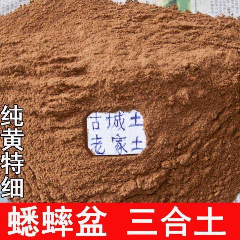 蛐蛐罐砸底细纯土蟋蟀盆塘底土蟋蟀土可洗可煮葫芦三合土5斤包邮