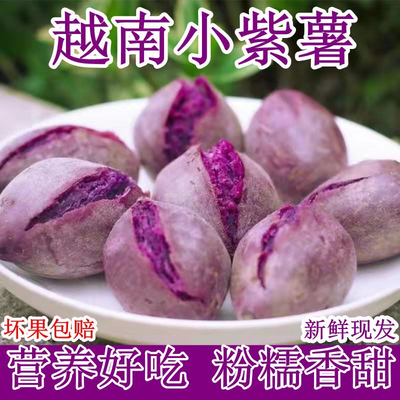 新鲜小紫薯10斤板栗红薯蜜薯糖心番薯沙地烟薯地瓜蔬菜农家自种