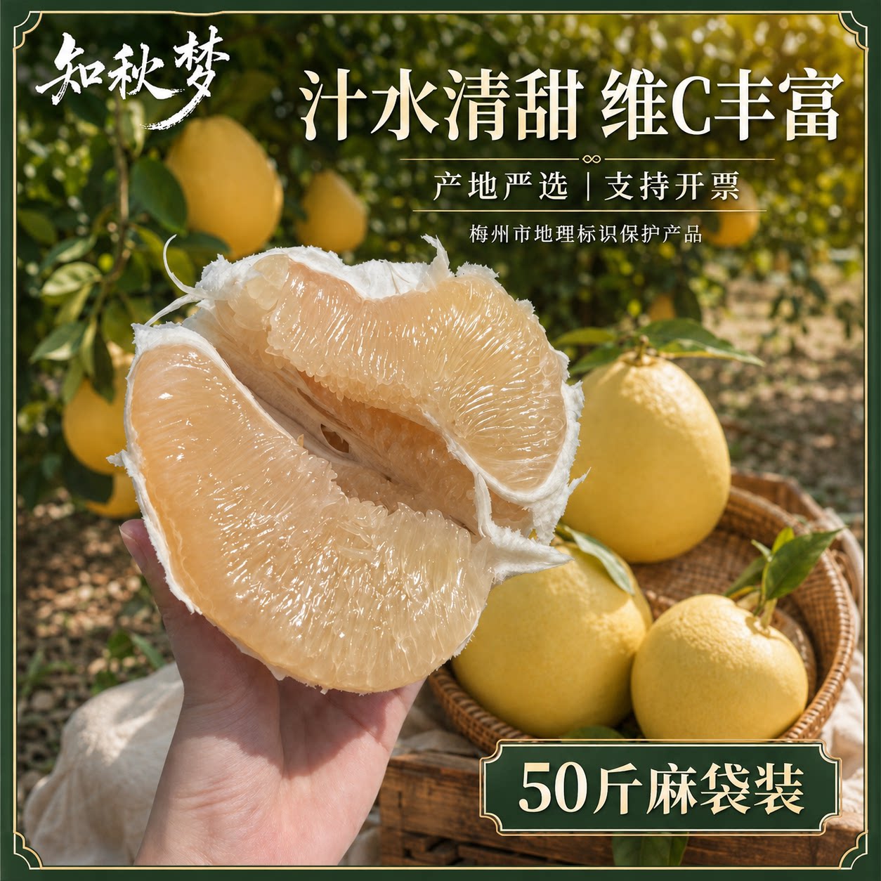 【已抢空】梅州正宗红肉蜜柚子白心柚特级大果送礼盒中秋水果