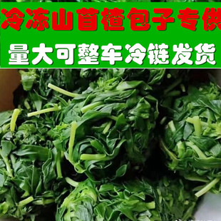 山东五莲新鲜冷冻山苜楂野菜山珍菜山野菜蔬菜制品三斤包子馅包邮