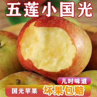 【顺丰】头茬山东五莲小国光正宗国光苹果老品种老树酸甜脆国