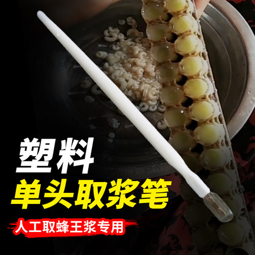 塑料单头取蜂王浆笔养蜂工具