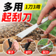 多用铸钢不锈钢起刮锤起钉锤 蜜蜂工具 三用起刮刀 养蜂专用工具