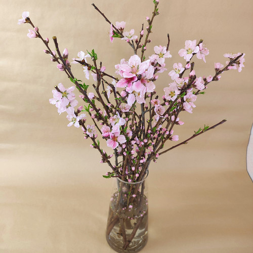 鲜桃花枝纯天然沂蒙山区桃花枝条