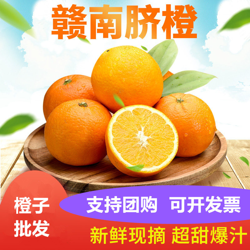 精选精品赣南脐橙伦晚橙新鲜水果现摘甜橙团购礼品赣州橙子礼盒装