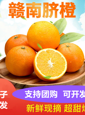精选精品赣南脐橙伦晚橙新鲜水果现摘甜橙团购礼品赣州橙子礼盒装