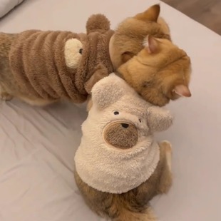 狗狗衣服猫咪宠物服饰秋冬毛绒背心比熊泰迪金渐层雪纳瑞ins可爱
