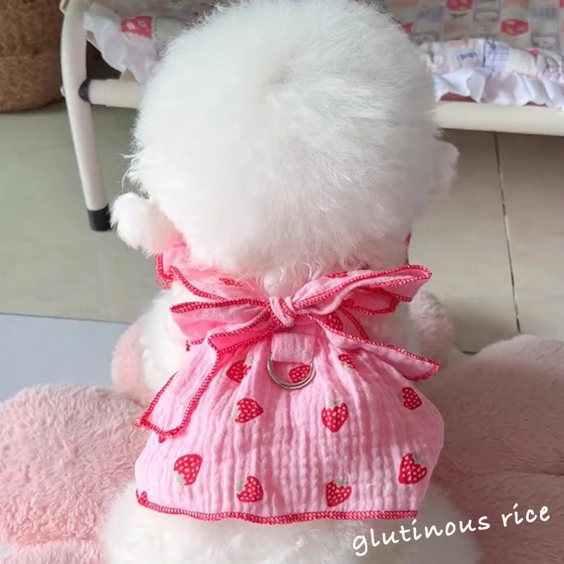 狗狗夏天衣服可爱公主裙带牵引环幼犬小型犬泰迪比熊夏季薄款裙子图片
