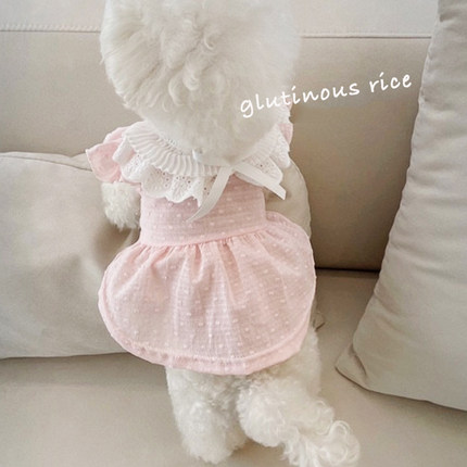 春夏宠物狗狗衣服日韩ins公主裙猫咪服装比熊泰迪贵宾博美小型犬