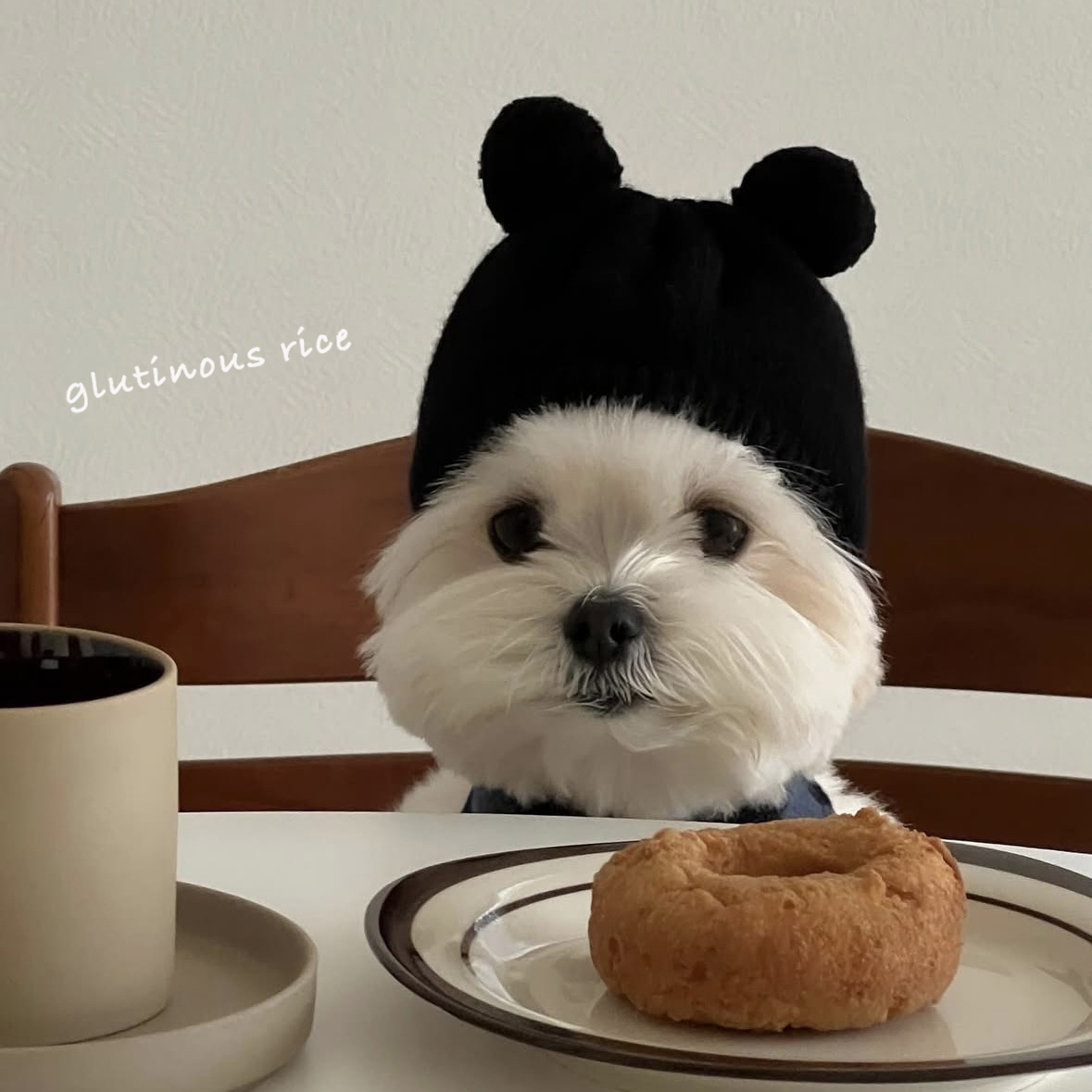 宠物针织帽子狗狗秋冬可爱保暖ins风围巾围脖猫咪配饰小型犬比熊