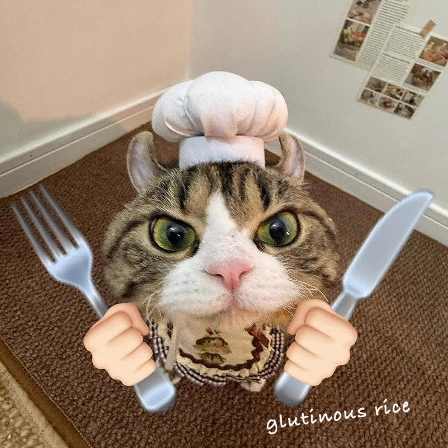 宠物厨师帽子俏皮可爱搞怪头套cos狗狗猫咪装饰变装道具衣服拍照