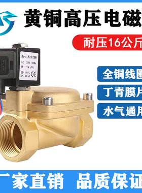 先导式常闭高压电磁阀220v24V大流量黄铜水阀气阀4分6分1寸152025