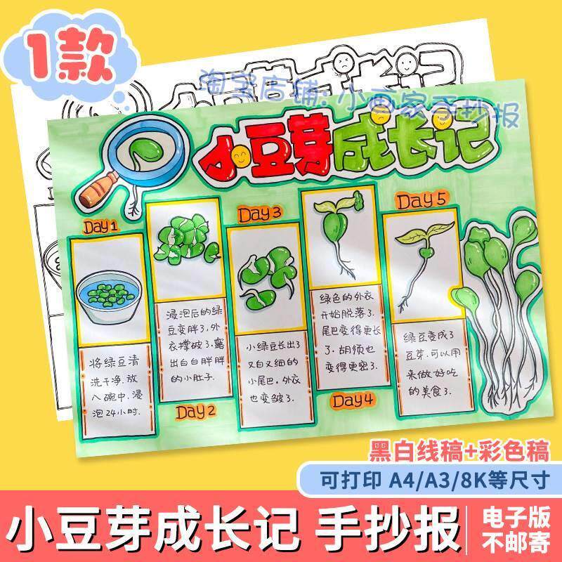 绿豆芽生长记手抄报小学生绿豆芽观察日记成长记录自然笔记线稿a4
