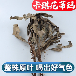 马来西亚特级卡琪花蒂玛茶包粉纯野生天然女性卡其花500g正品痛经