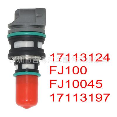 适用于雪佛兰欧宝 17113124 喷油嘴 17113197 FJ10045