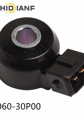 22060-30P00适用于日产风度A32A33尼桑风神蓝鸟SR20帕拉感应