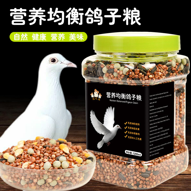 鸽子食粮饲料鸽粮信鸽赛鸽种鸽专用营养粮食用品带玉米小颗粒豌