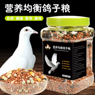鸽子食粮饲料鸽粮信鸽赛鸽种鸽专用营养粮食用品带玉米小颗粒豌