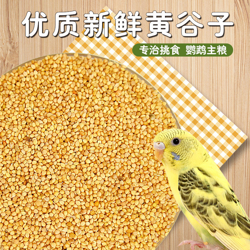 冠之亚优质带壳黄谷子鸟粮谷子小米鹦鹉食粮中小型鸟食饲料1,宠物/宠物食品及用品,鸟食,淘宝优惠券,粉丝福利购,淘宝优惠卷