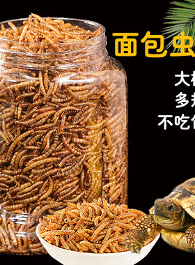 冠之亚乌龟面包虫干专用