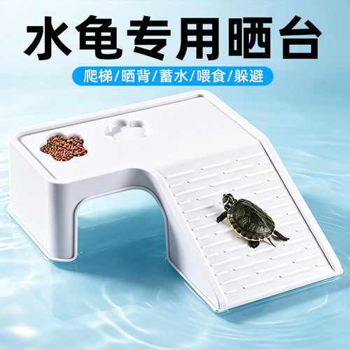 爬台乌龟巴西龟冠之亚
