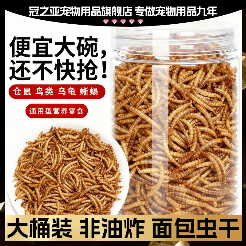 【直播专用】虎皮小太阳训练奖励小零食营养虫干鹦鹉粮食面包虫干,宠物/宠物食品及用品,鸟食,淘宝优惠券,粉丝福利购,淘宝优惠卷