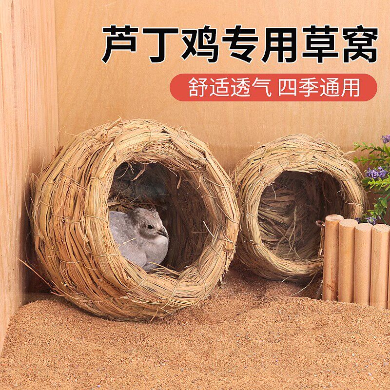 草编芦丁鸡育雏窝下蛋窝舒适保暖鹌鹑鹦鹉卢丁专用窝过冬造景用品