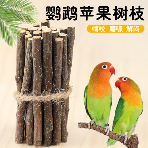 冠之亚鹦鹉苹果木咬木磨牙玩具