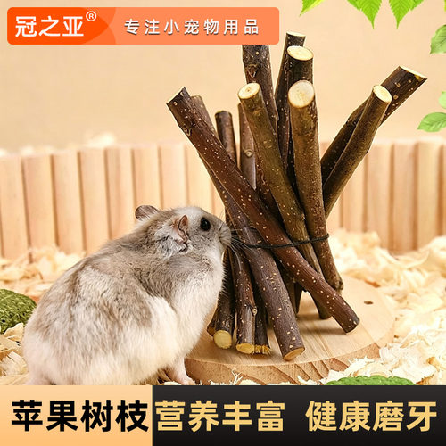 仓鼠苹果枝磨牙棒可食用金丝熊