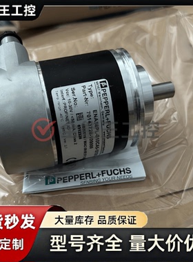 倍加福编码器ENA58PL-S10CA5-1213B17-RH2询价下单