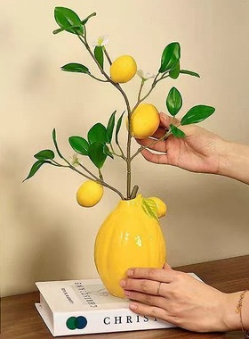 金龙堂北欧风水果柠檬花瓶摆件