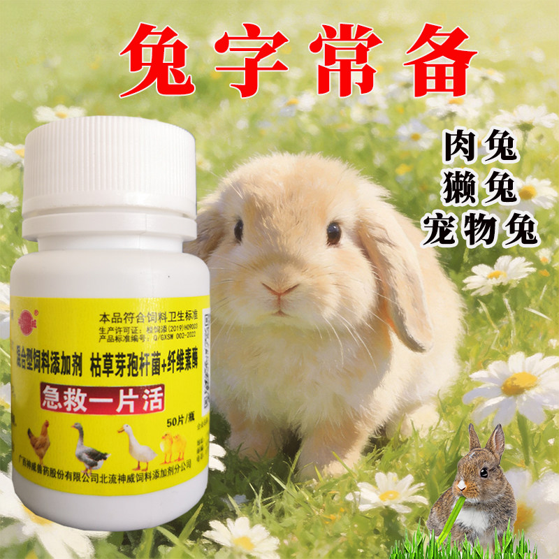 兔子常备 宠物兔獭兔肉兔急救片 鸡鸭鹅养殖常备