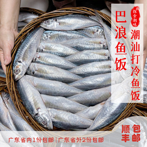 潮汕特产汕头打冷巴浪鱼饭去内脏每天现煮鲜甜不太咸即食 一斤装