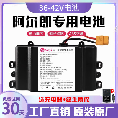 阿尔郎电动平衡车锂电池36v通用合一新能源42v大容量电瓶配件安派