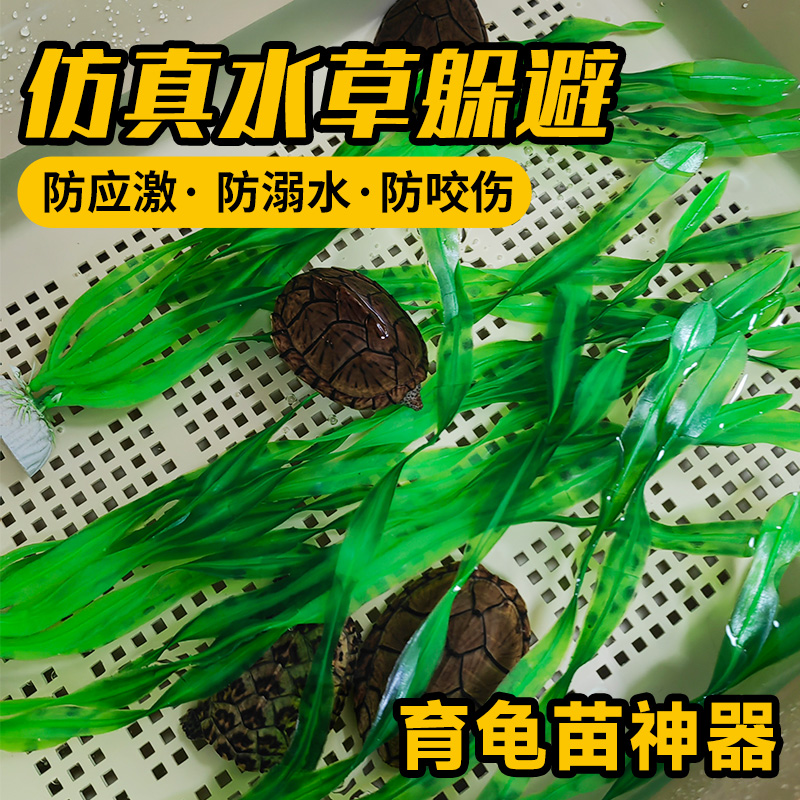 乌龟躲避水草环境造景仿真叶子