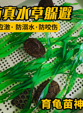 乌龟躲避水草环境造景防应激溺水仿真假叶子龟缸带蛋龟泥龟苗神器