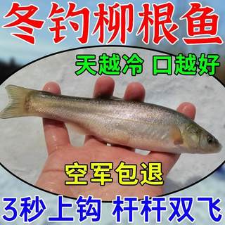 冬钓柳根鱼饵钓柳根鱼专用饵料专攻东北野生野钓溪流爆护通杀饵料