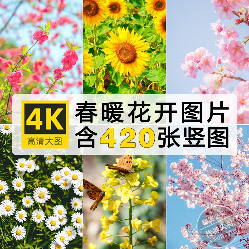 4K高清春天花朵竖图片春暖花开摄影ps设计2K手机壁纸背景素材合集