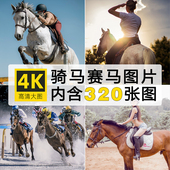4K高清骑马赛马图片驯马比赛跨栏跳障碍马术运动健身牵马照片素材