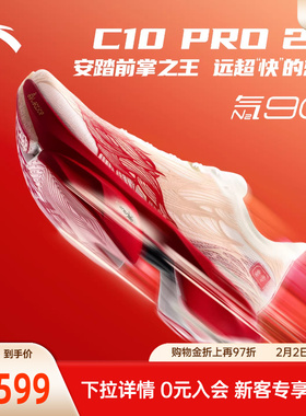 安踏×徐悲鸿奔马图联名丨天马行空系列C10 PRO 2代马拉松跑鞋男