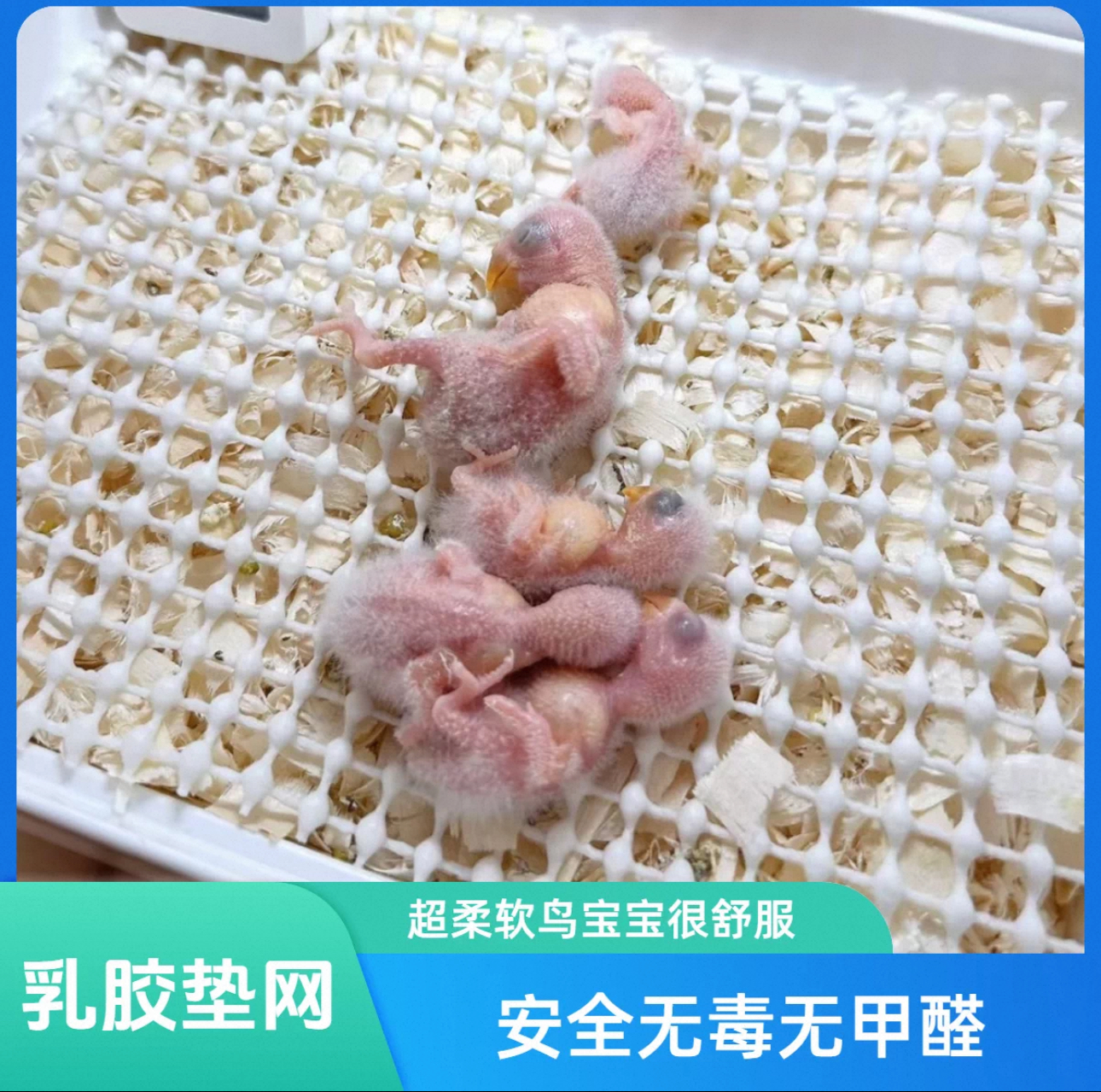 鹦鹉垫网超软乳胶防滑垫