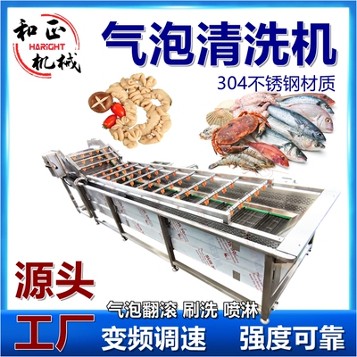 定制商用蔬菜清洗流水线餐厅洗菜机厂家果蔬喷淋清洗净菜加工设备