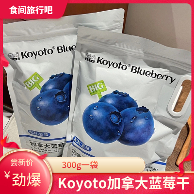 koyoto加拿大蓝莓干无添加剂果干果脯蜜饯零食独立包装300g/袋