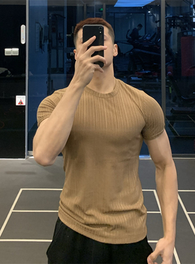 irontrap紧袖口T恤冰丝速干运动短袖健身衣服男紧身上衣训练服夏