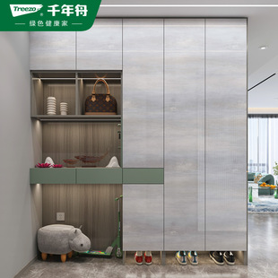 千年舟全屋定制现代风环保定制家用衣柜书柜柜体柜门组合
