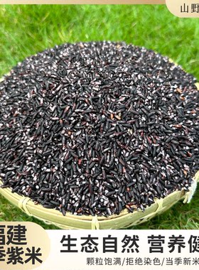山野农夫紫米高山紫糯米生态种植杂粮福建当季大米紫米甄选品质米