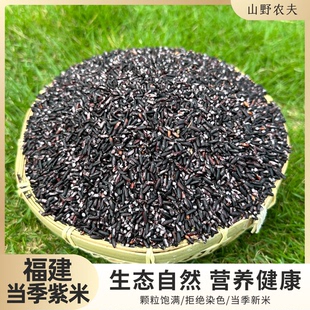 山野农夫紫米高山紫糯米生态种植杂粮福建当季大米紫米甄选紫糯米