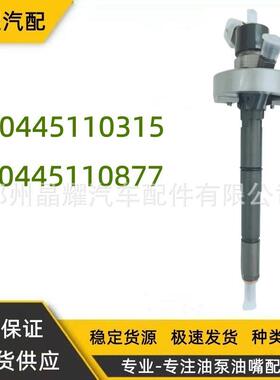 柴油共轨喷油器0445110315/0445110877适用于日产ZD30发动机车型