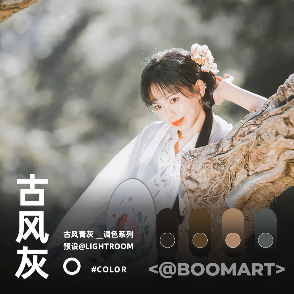 LR预设青灰古风胶片人像街拍ps调色PR滤镜手机lightroom达芬奇LUT